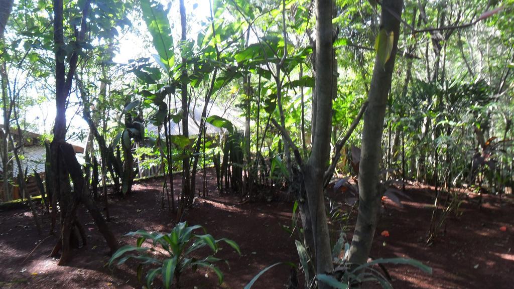 Panambi Lodge B&B Puerto Iguazu Luaran gambar